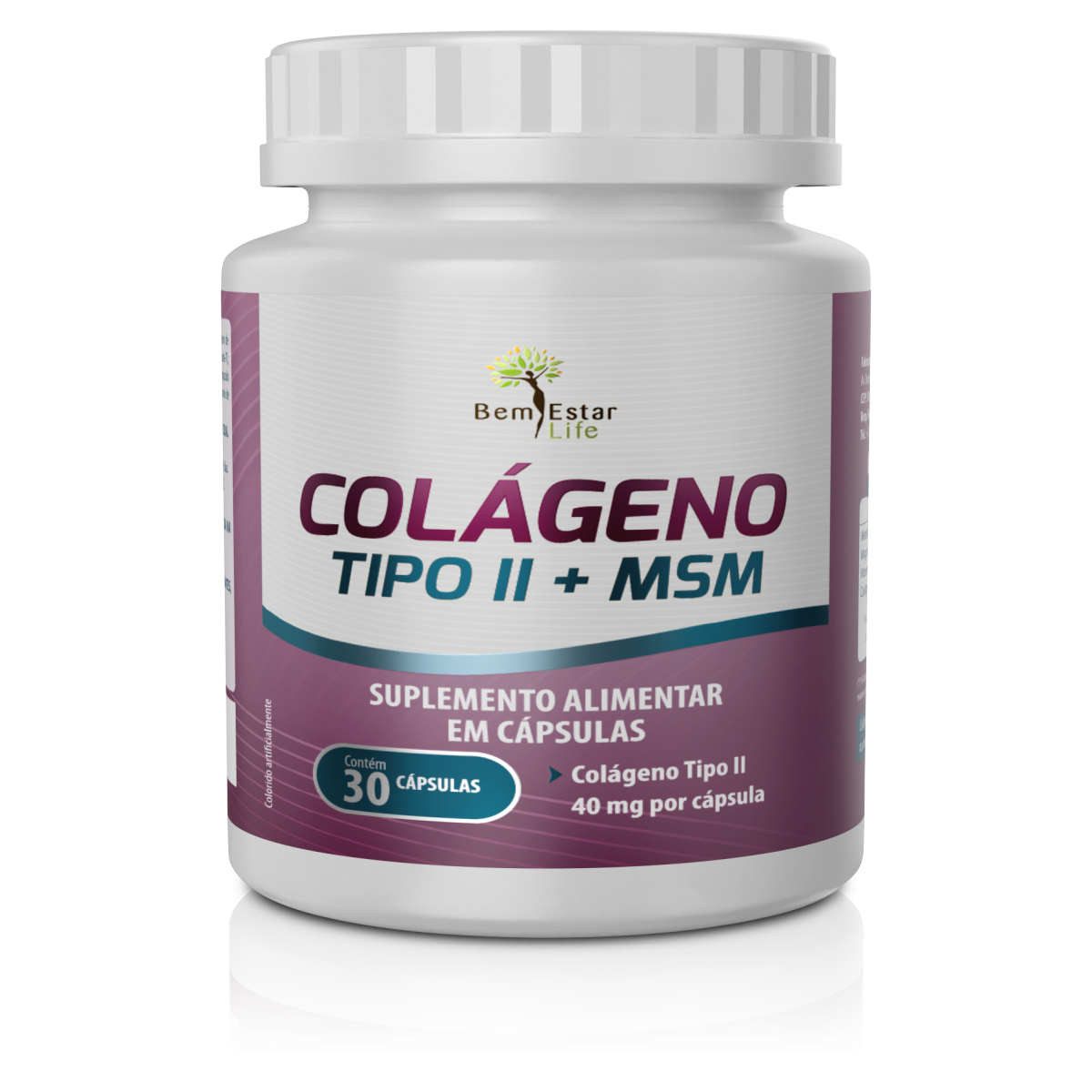 COLAGENO  TIPO II + MSM